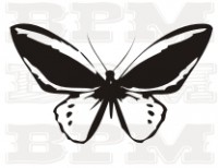 /album/fotogaleria-hmyz/hmyz-1-jpg/